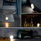 Round Shape 8 LED Motion Sensor Induction LED Light